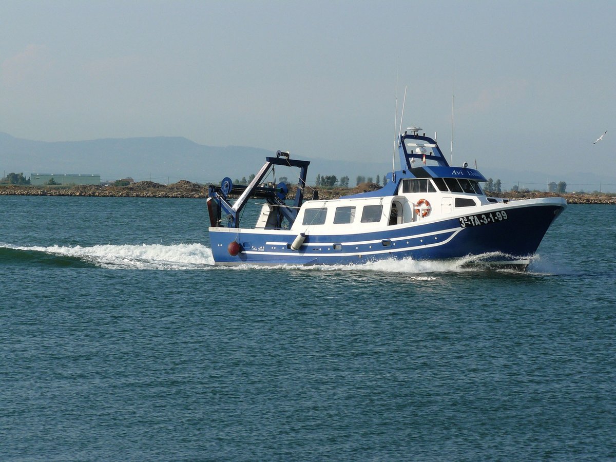 Imagen de Capitol 8 - 2003